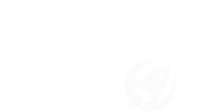 Nova Space Logo